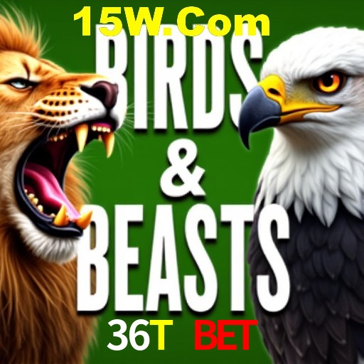 Apostas Esportivas na 36T Bet: Um Guia Completo